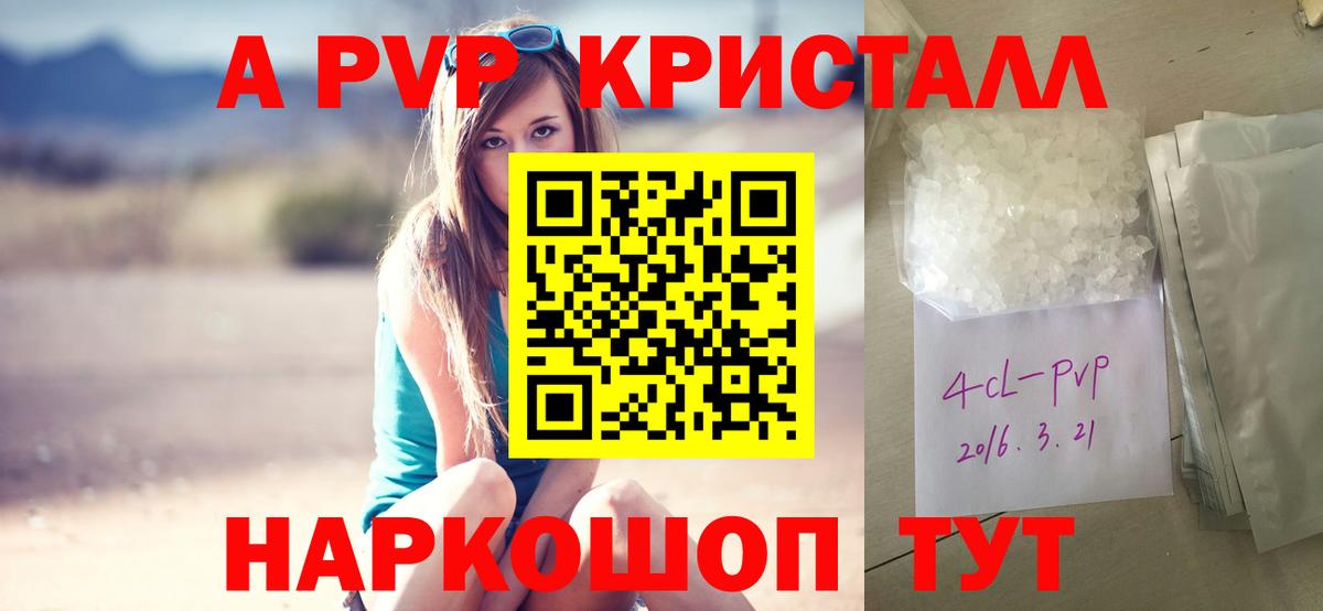 Alfa_PVP СК Мурманск