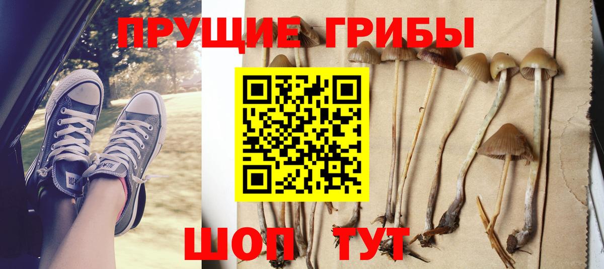 Галлюциногенные грибы GOLDEN TEACHER  Вход с VPN  Мурманск 